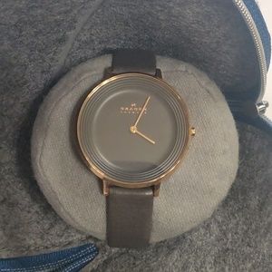 Brand New Skagen watch